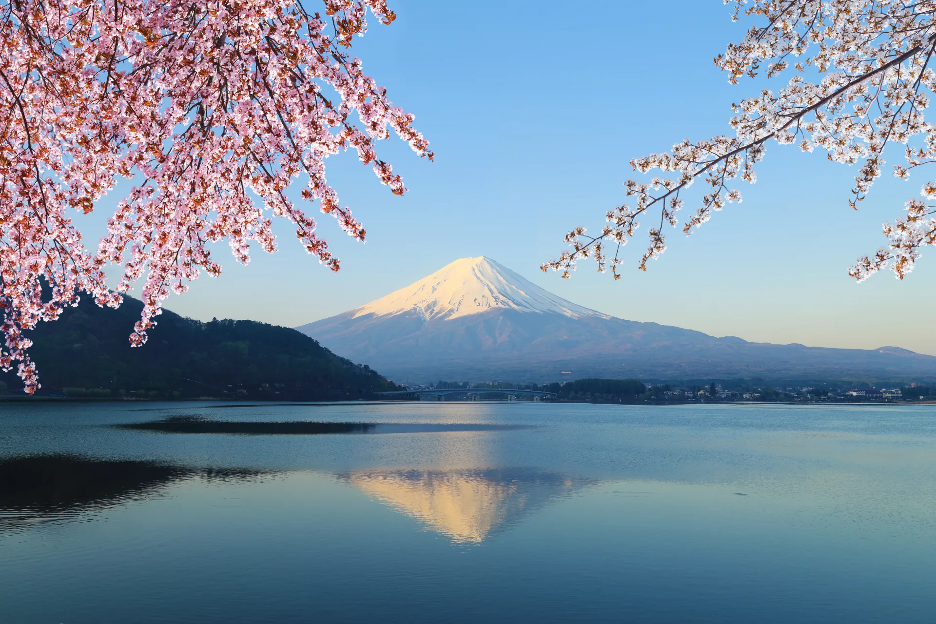 Mt Fuji